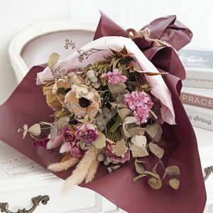 yzhCt[@XbOEԑ@[sNiMTCYjj  hCt[ CeA ԑ u[P XbO t[Mtg  v[g 蕨 Sz 