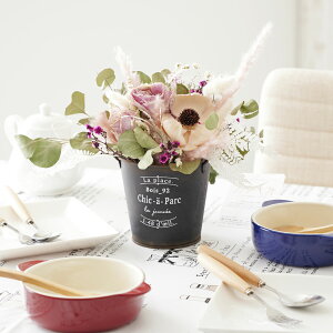 yzhCt[@AWg@[sNiSSTCYjj  hCt[ CeA t[AWg ĉ t[Mtg  v[g 蕨 S