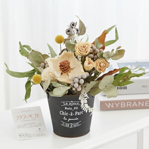 yzhCt[@AWg@i`AC{[iSSTCYjj  hCt[ CeA t[AWg ĉ t[Mtg  v[g 