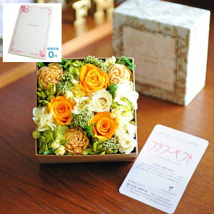 yzdEjdt@fUCi[Y@vU[uht[@Sweet BoxigD[jfUCi[Y nhCh  a  oY  ސE Vz JX J ړ] AC  v