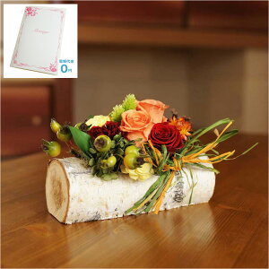 yzdEjdt@vU[uht[@̎fUCi[ fUCi[Yt[ AWgt[ nhCh  aj j  v[g 蕨 