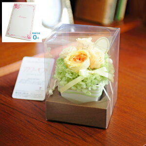 yzdEjdt@vU[uht[@pXeAWM@IWiԂт烁bZ[Wj C ͂Ȃ TvCY  aj j  v[g 蕨