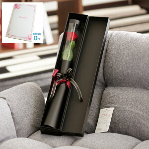 yzdEjdt@vU[uht[@bZ[W[Yibhj1 C ͂Ȃ TvCY  aj j  v[g 蕨 Sz bZ[W