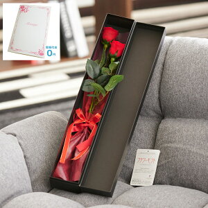 yzdEjdt@vU[uht[@bZ[W[Yibhj2 C ͂Ȃ TvCY  aj j  v[g 蕨 Sz bZ[W