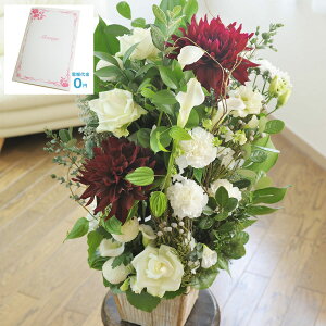 yzydEjdtzAWgt[ifUCi[Yt[jFlowerly Special@1.5~R[Xj   JS t[Mtg  v[g 蕨 Sz 