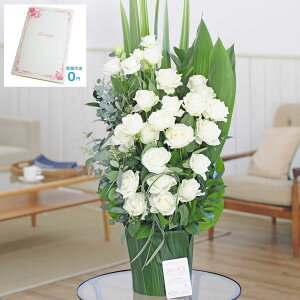 yzydEjdtzfUCi[YAWgt[@Green Leaf PotiMTCYj3~R[Xj   JS t[Mtg  v[g 蕨 Sz D