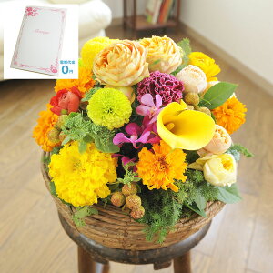 yzydEjdtzAWgt[@Round BasketiFEIWnjfUCi[Yt[ j   JS t[Mtg  v[g 蕨 Sz 