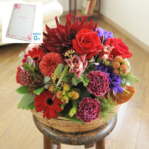 yzydEjdtzAWgt[@Round BasketiԌnjfUCi[Yt[ j   JS t[Mtg  v[g 蕨 Sz D y