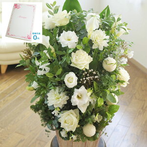 yzydEjdtzAWgt[LTCY@Refreshing CoolnessiO[EnjiԌnjfUCi[Yt[ j   JS t[Mtg  v[