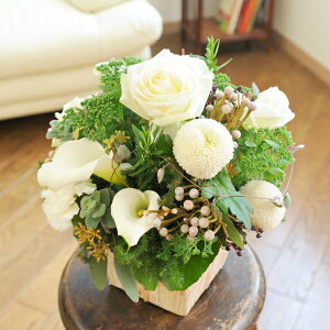 ydijdjƂԂꏏɂ͂zAWgt[STCY@Refreshing@CoolnessiO[Enjo oj uj j \ Cxg y 蕨 t[Mtg 