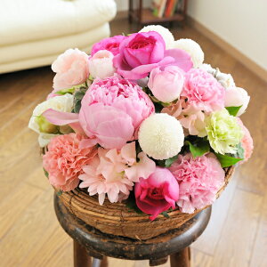 ydijdjƂԂꏏɂ͂zAWgt[@Round@BasketisNnjo oj uj j \ Cxg  y 蕨 t[Mtg v[g 