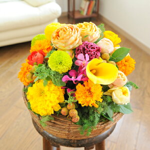 ydijdjƂԂꏏɂ͂zAWgt[@Round@BasketiFEIWnjo oj uj j \ Cxg  y 蕨 t[Mtg v