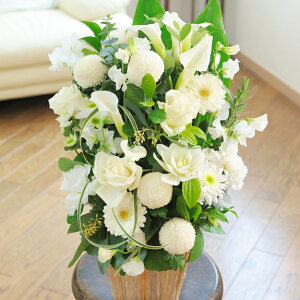 ydijdjƂԂꏏɂ͂zAWgt[@G&W@BasketiO[Enjo oj uj j \ Cxg  y 蕨 t[Mtg v[