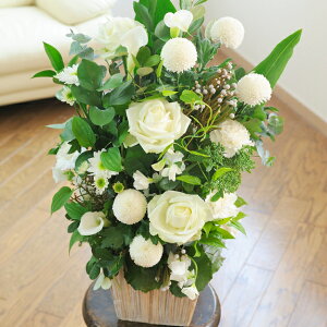 ydijdjƂԂꏏɂ͂zfUCi[Y@AWgt[MTCY@Refreshing@CoolnessiO[Enj @ Cj މ@j 蕨 t[Mtg 