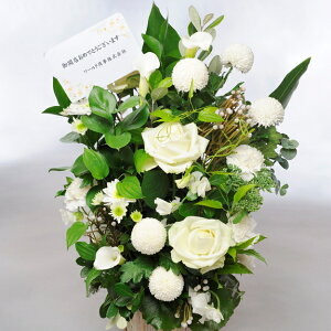 ydijdjƂԂꏏɂ͂zfUCi[Y@AWgt[MTCY@Refreshing@CoolnessiO[EnjoYj aj DP o o[XfB 蕨 t[Mtg