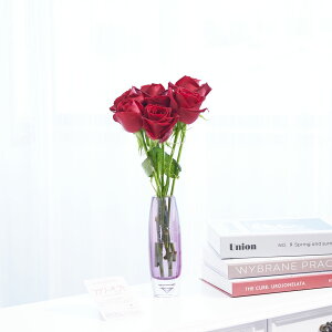 yzԕrt[Et[x[X@ۃV_[ij@ԃo7{j   KN o ΂ [Y ԕr t[x[X t[Mtg  v[g 蕨 Sz