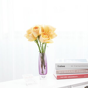 yzԕrt[Et[x[X@ۃV_[ij@IWo7{j   KN o ΂ [Y ԕr t[x[X t[Mtg  v[g 蕨 