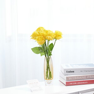 yzԕrt[Et[x[X@ۃV_[iAo[j@Fo7{j   KN o ΂ [Y ԕr t[x[X t[Mtg  v[g 蕨