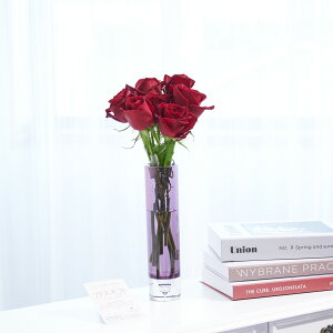 yzԕrt[Et[x[X@V_[ij@ԃo7{j   KN o ΂ [Y ԕr t[x[X t[Mtg  v[g 蕨 Sz 