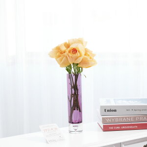 yzԕrt[Et[x[X@V_[ij@IWo7{j   KN o ΂ [Y ԕr t[x[X t[Mtg  v[g 蕨 S