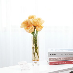 yzԕrt[Et[x[X@V_[iAo[j@IWo7{j   KN o ΂ [Y ԕr t[x[X t[Mtg  v[g 