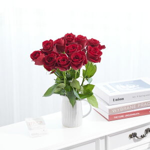 yzԕrt[Et[x[X@AeB[NWOiVO/j@ԃo12{j   KN o ΂ [Y ԕr t[x[X t[Mtg  v[