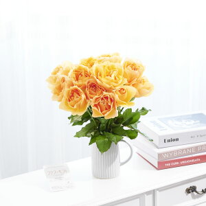 yzԕrt[Et[x[X@AeB[NWOiVO/j@IWo12{j   KN o ΂ [Y ԕr t[x[X t[Mtg  v