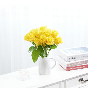 yzԕrt[Et[x[X@AeB[NWOiVO/j@Fo12{j   KN o ΂ [Y ԕr t[x[X t[Mtg  v[