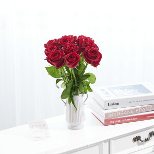 yzԕrt[Et[x[X@AeB[NWOicC/j@ԃo12{j   KN o ΂ [Y ԕr t[x[X t[Mtg  v[g 