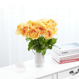 yzԕrt[Et[x[X@AeB[NWOicC/j@IWo12{j   KN o ΂ [Y ԕr t[x[X t[Mtg  v