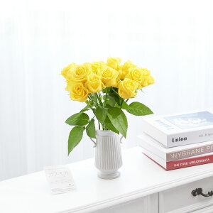 yzԕrt[Et[x[X@AeB[NWOicC/j@Fo12{j   KN o ΂ [Y ԕr t[x[X t[Mtg  v[