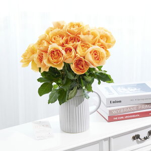 yzԕrt[Et[x[X@AeB[NWOiVO/j@IWo18{j   KN o ΂ [Y ԕr t[x[X t[Mtg  v