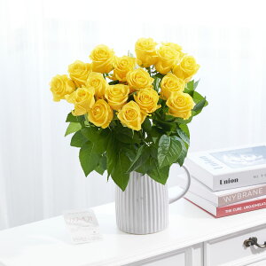 yzԕrt[Et[x[X@AeB[NWOiVO/j@Fo18{j   KN o ΂ [Y ԕr t[x[X t[Mtg  v[