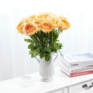 yzԕrt[Et[x[X@AeB[NWOicC/j@IWo18{j   KN o ΂ [Y ԕr t[x[X t[Mtg  v