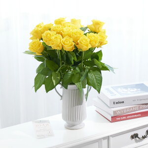 yzԕrt[Et[x[X@AeB[NWOicC/j@Fo18{j   KN o ΂ [Y ԕr t[x[X t[Mtg  v[