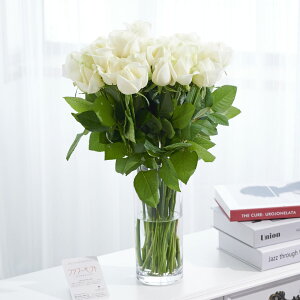 yzԕrt[Et[x[X@V_[iNAj@o30{j   KN o ΂ [Y ԕr t[x[X t[Mtg  v[g 蕨 S