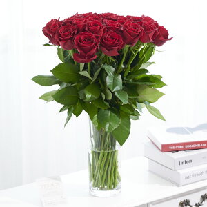 yzԕrt[Et[x[X@V_[iNAj@ԃo30{j   KN o ΂ [Y ԕr t[x[X t[Mtg  v[g 蕨 S