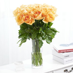 yzԕrt[Et[x[X@V_[iNAj@IWo30{j   KN o ΂ [Y ԕr t[x[X t[Mtg  v[g 