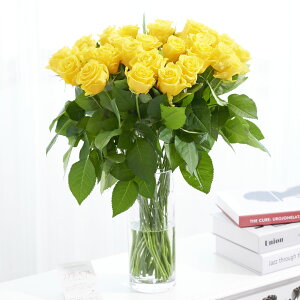 yzԕrt[Et[x[X@V_[iNAj@Fo30{j   KN o ΂ [Y ԕr t[x[X t[Mtg  v[g 蕨 S