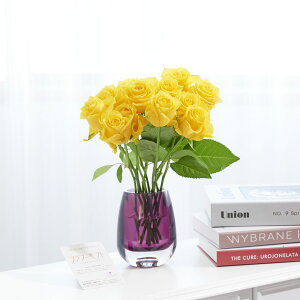 yzԕrt[Et[x[X@I[oij@Fo12{j   KN o ΂ [Y ԕr t[x[X t[Mtg  v[g 蕨 Sz 