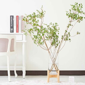 楽天市場 ドウダンツツジ 枝 花束 切花 花 観葉植物 花 ガーデン Diyの通販