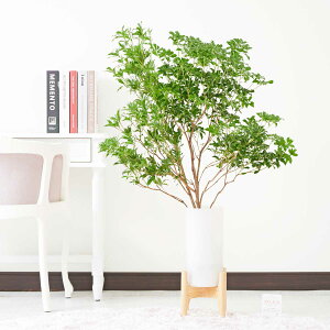 yzԕrt[Et[x[X@AZr@rtV_[izCgjj ϗtA |J[{l[g |Cg v[g 蕨  X^CbV t[