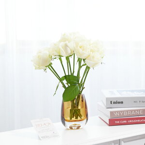 yzԕrt[Et[x[X@I[oiAo[j@o12{j   KN o ΂ [Y ԕr t[x[X t[Mtg  v[g 蕨 S