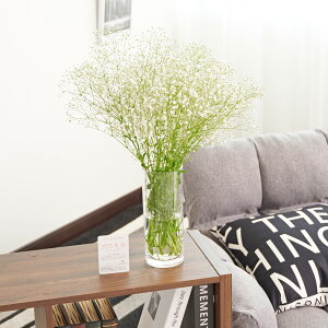 yzԕrt[Et[x[X@V_[iNAj@JX~\Ej ԑ u[P t[Mtg  v[g 蕨 aj j j Sz bZ