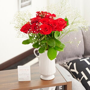 yzԕrt[Et[x[X@AeB[NWOicC/j@ԃo12{JX~\Ej ԑ u[P t[Mtg  v[g 蕨 aj j 