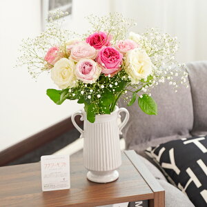 yzԕrt[Et[x[X@AeB[NWOicC/j@EsNo12{JX~\Ej ԑ u[P t[Mtg  v[g 蕨 aj 