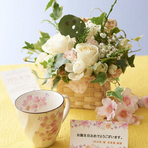 ԂƃMtg̃Zbg@O[̃AWgt[ƃR[q[JbvZbgi3̒aELOpjyzaj j oYj j ސEj Vzj JXj