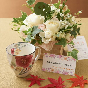 ԂƃMtg̃Zbg@O[̃AWgt[ƃR[q[JbvZbgi11̒aELOpjyzaj j oYj j ސEj Vzj JX