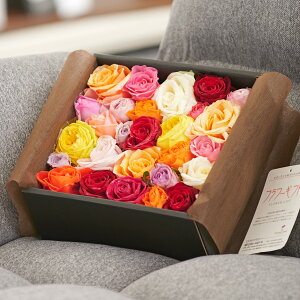 yzoXt[EoCi~bNXj 邢 蕨 t[Mtg v[g j   bZ[WJ[h yMt y@aj j 