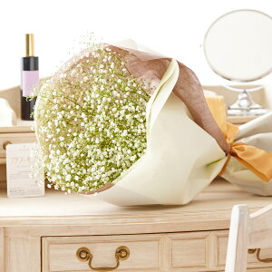 yzԑEu[P@JX~\Ej t[Mtg  v[g 蕨 aj j j Sz bZ[WJ[h